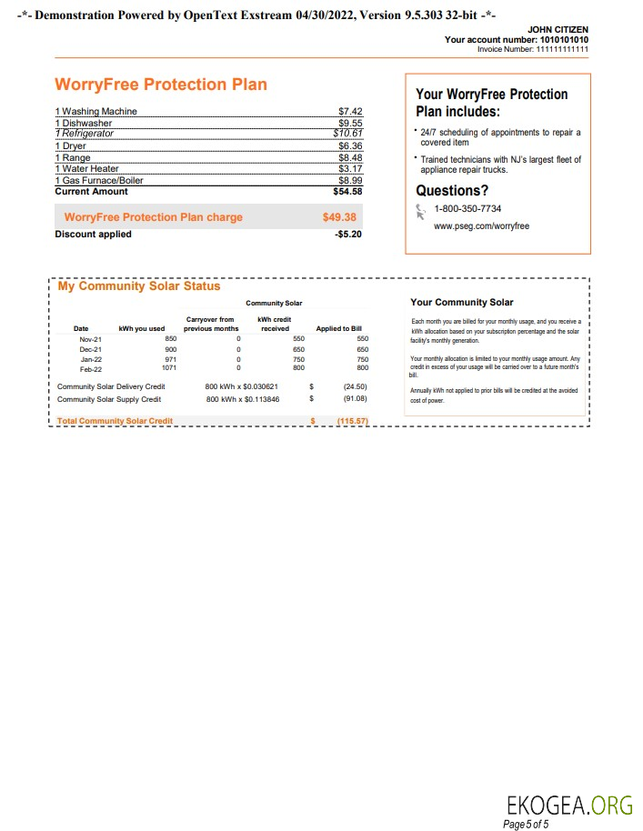 Usa New york pseg utility bill, word and pdf template, 5 pages 5 template